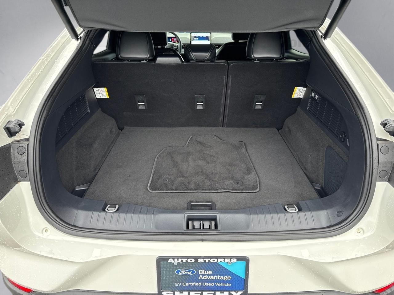 2025 Ford Mustang Mach-E Premium Warrenton VA