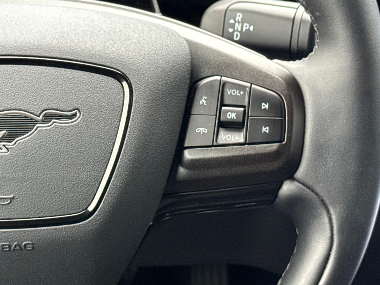 2025 Ford Mustang Mach-E Premium Warrenton VA