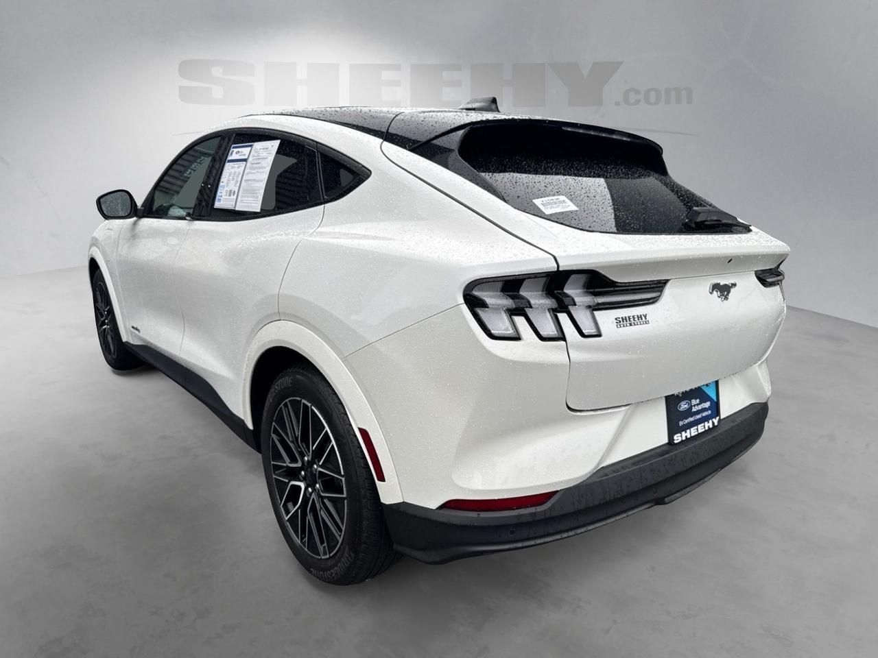 2025 Ford Mustang Mach-E Premium Warrenton VA
