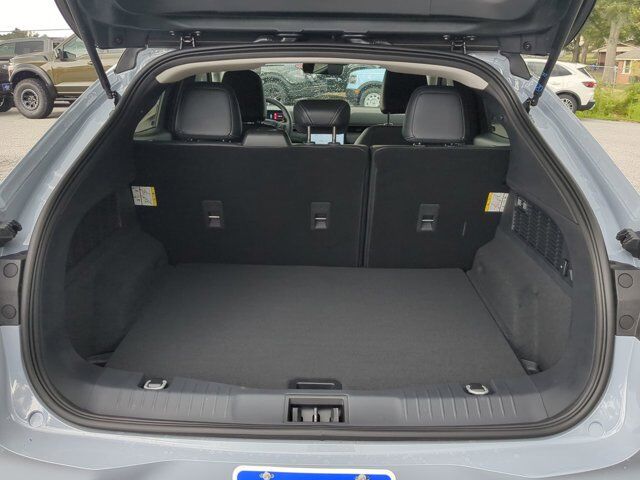 2025 Ford Mustang Mach-E Select Winder GA