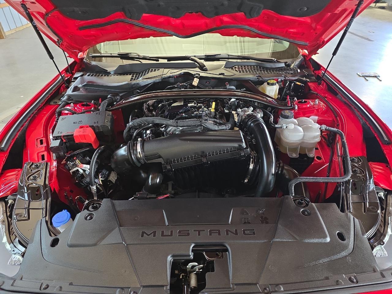 2025 Ford Mustang Premium Convertible Sand Lake NY