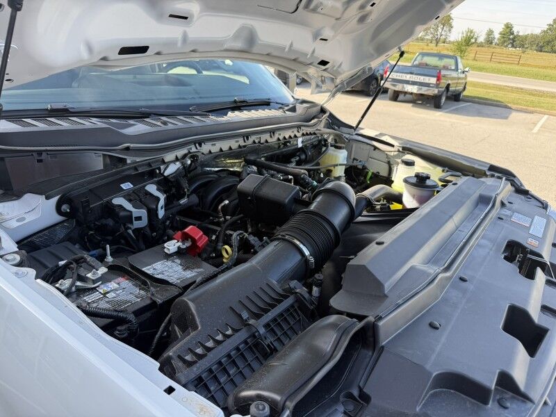 2025 Ford Super Crew F-250 6.8L V8 4x4 Utility XLT Collinsville OK