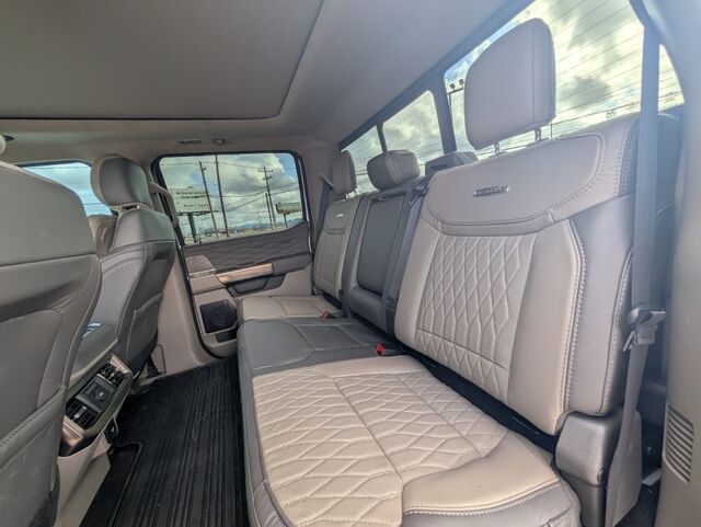 2025 Ford Super Duty F-250 SRW Platinum  TX