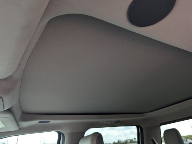 2025 Ford Super Duty F-250 SRW Platinum  TX