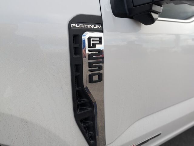 2025 Ford Super Duty F-250 SRW Platinum  TX