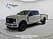 2025 Ford Super Duty F-250 SRW Platinum