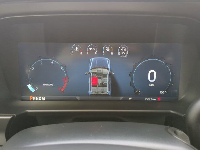2025 Ford Super Duty F-250 SRW Platinum Winder GA