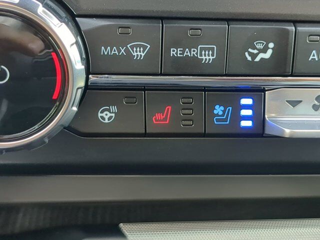 2025 Ford Super Duty F-250 SRW Platinum Winder GA