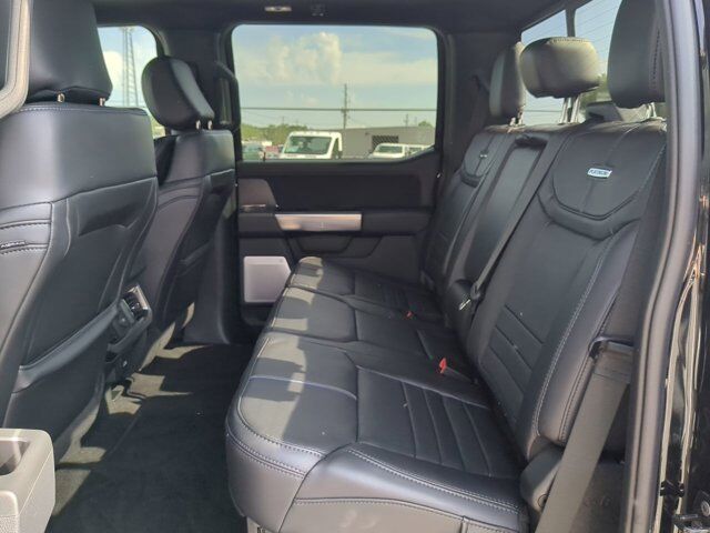 2025 Ford Super Duty F-250 SRW Platinum Winder GA