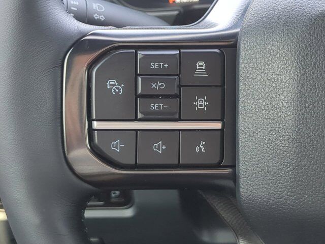 2025 Ford Super Duty F-250 SRW Platinum Winder GA
