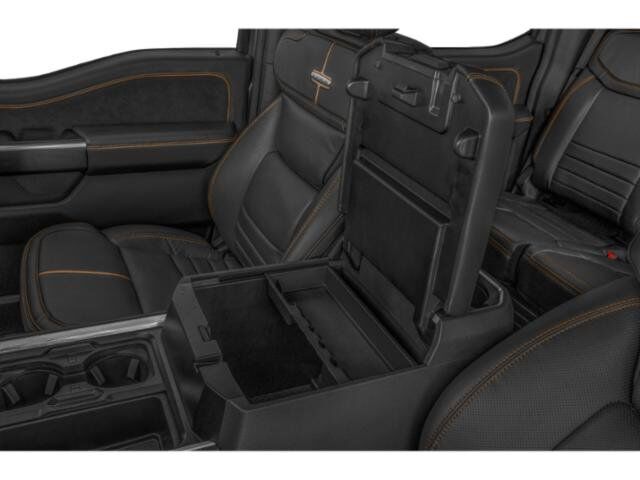 2025 Ford Super Duty F-250 SRW Platinum Winder GA