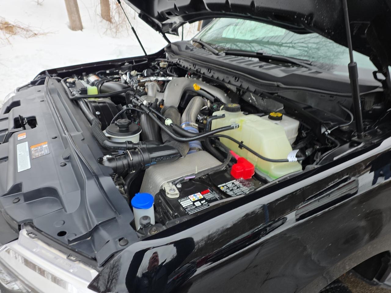 2025 Ford Super Duty F-350 DRW XLT Sand Lake NY