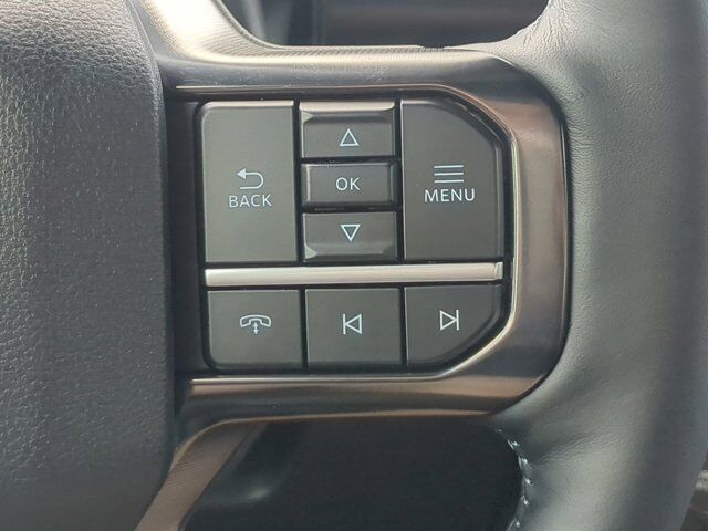 2025 Ford Super Duty F-350 SRW Platinum Appleton WI