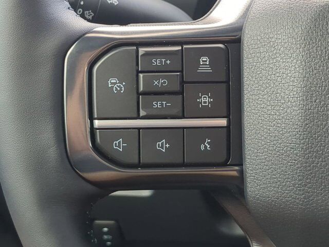 2025 Ford Super Duty F-350 SRW Platinum Appleton WI