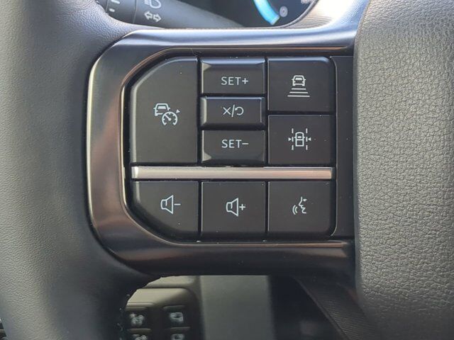 2025 Ford Super Duty F-350 SRW Platinum Appleton WI