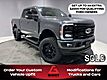 2025 Ford Super Duty F-350 SRW Platinum