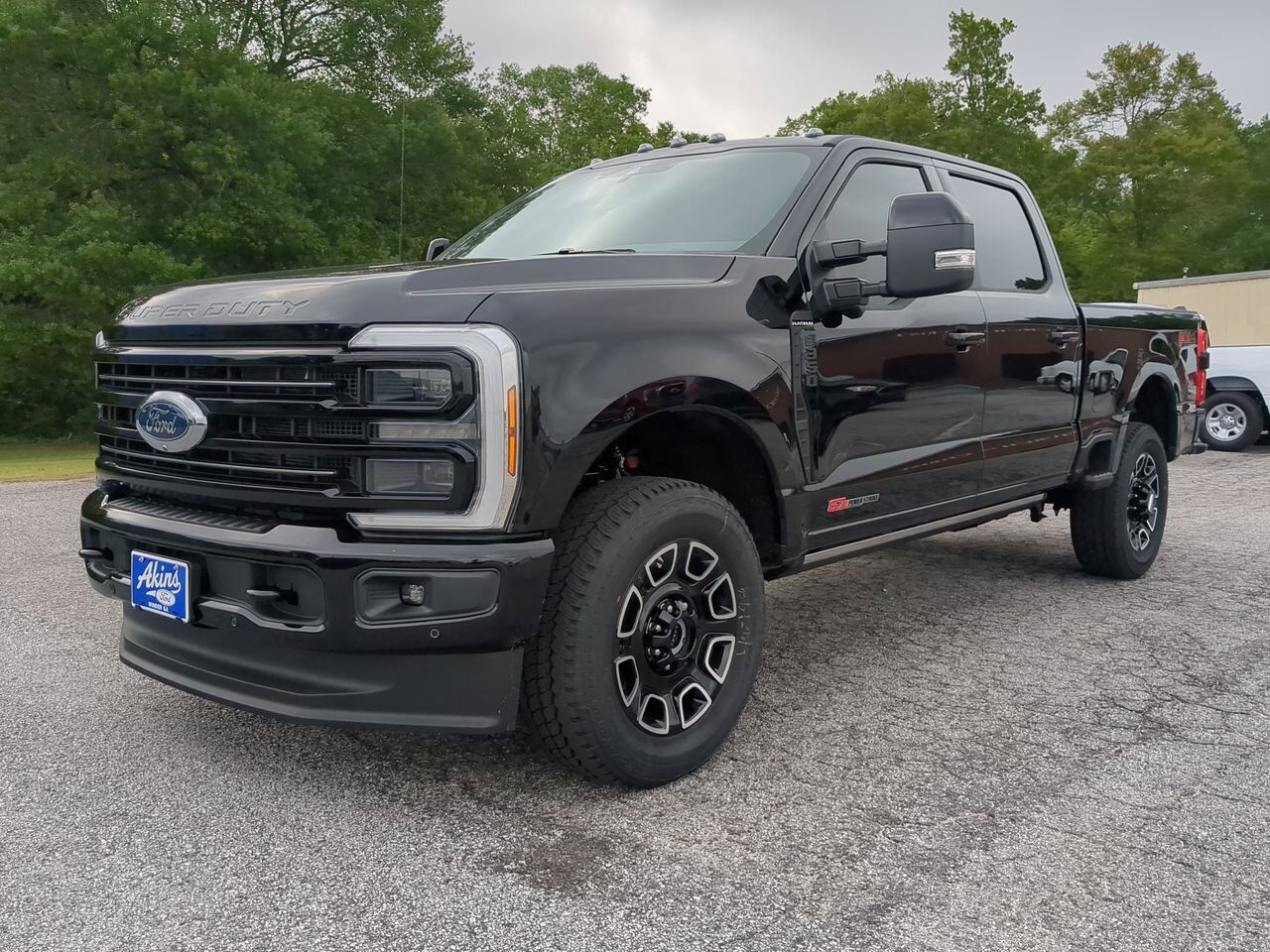 2025 Ford Super Duty F-350 SRW Platinum Winder GA