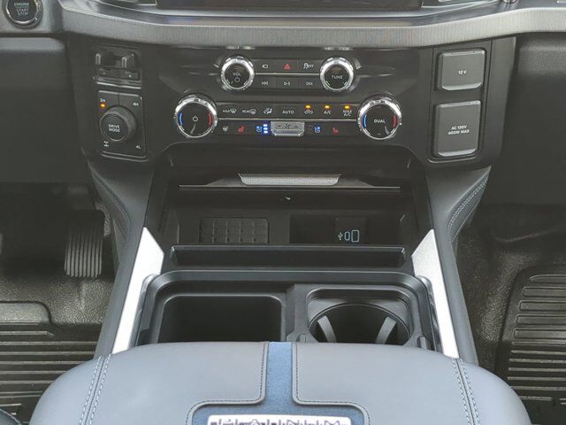 2025 Ford Super Duty F-350 SRW Platinum Winder GA