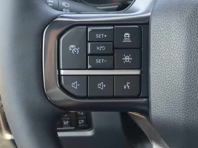 2025 Ford Super Duty F-350 SRW Platinum Winder GA