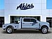 2025 Ford Super Duty F-450 DRW Platinum