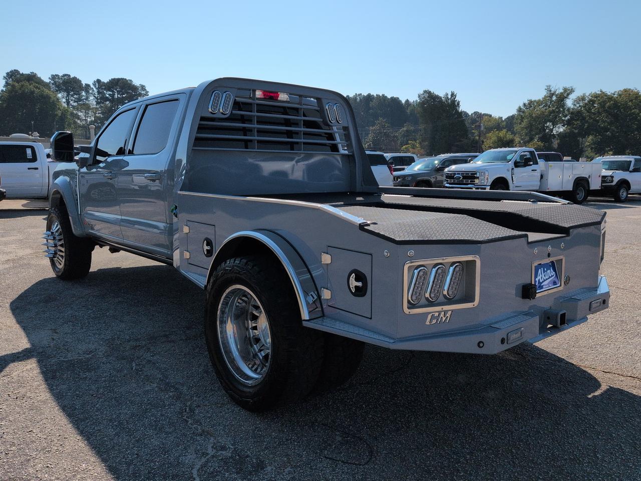 2025 Ford Super Duty F-450 DRW Platinum Appleton WI