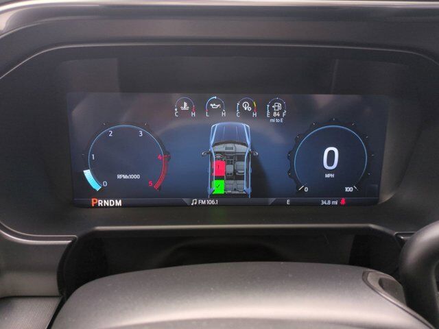 2025 Ford Super Duty F-450 DRW Platinum Appleton WI