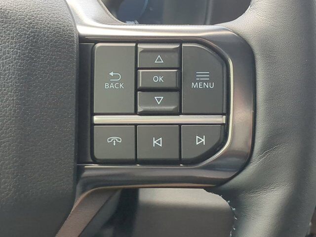 2025 Ford Super Duty F-450 DRW Platinum Appleton WI