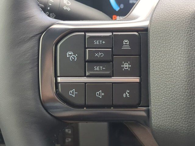2025 Ford Super Duty F-450 DRW Platinum Appleton WI