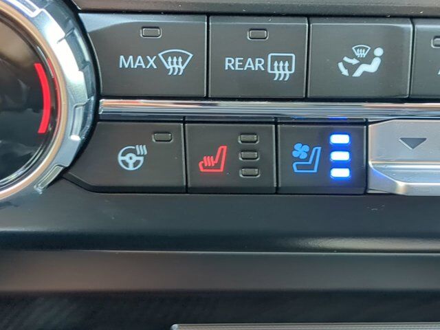 2025 Ford Super Duty F-450 DRW Platinum Appleton WI