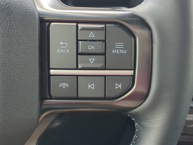 2025 Ford Super Duty F-450 DRW Platinum Appleton WI