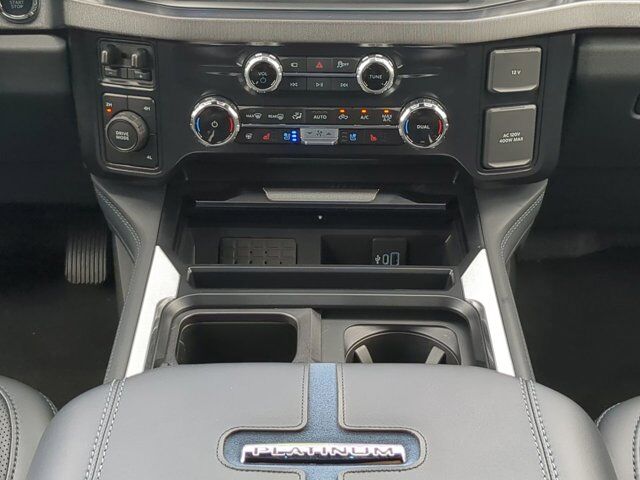 2025 Ford Super Duty F-450 DRW Platinum Appleton WI