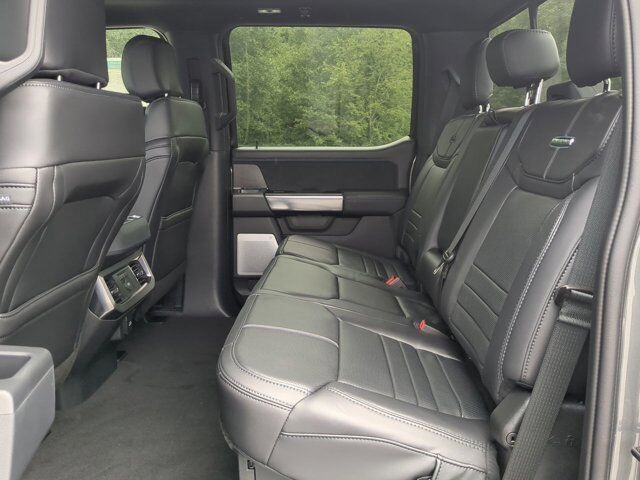 2025 Ford Super Duty F-450 DRW Platinum Appleton WI