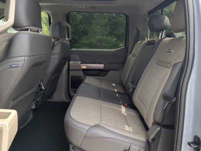 2025 Ford Super Duty F-450 DRW Platinum Plus Appleton WI