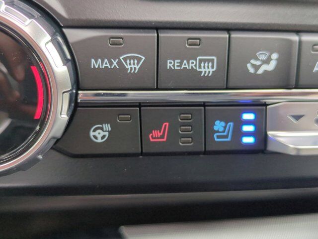 2025 Ford Super Duty F-450 DRW Platinum Plus Appleton WI