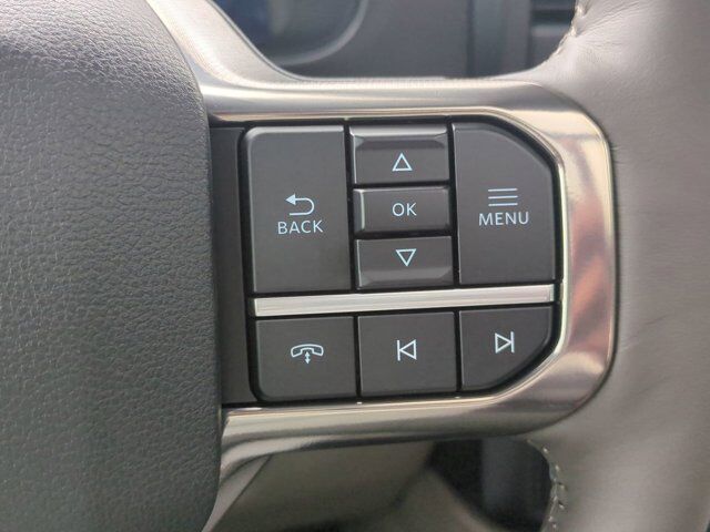 2025 Ford Super Duty F-450 DRW Platinum Plus Appleton WI