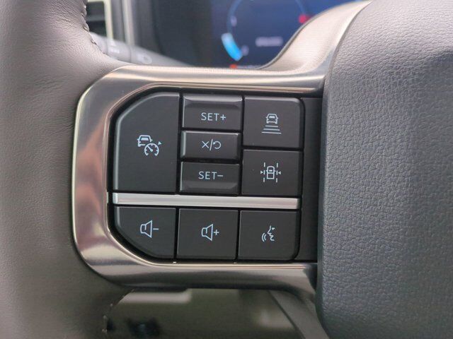 2025 Ford Super Duty F-450 DRW Platinum Plus Appleton WI