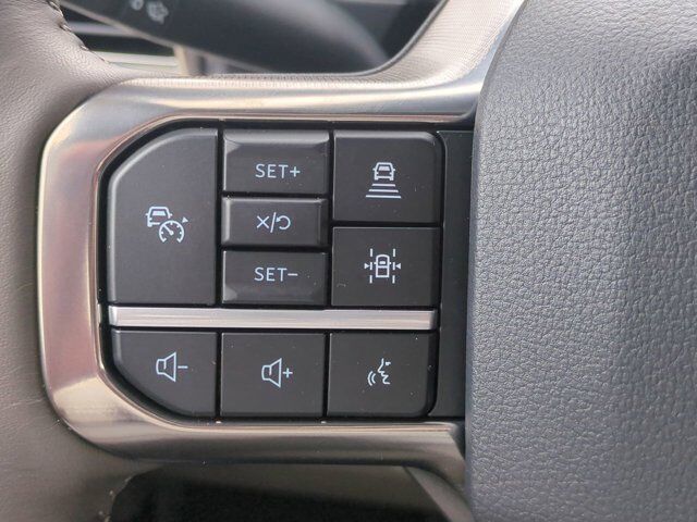 2025 Ford Super Duty F-450 DRW Platinum Plus Appleton WI