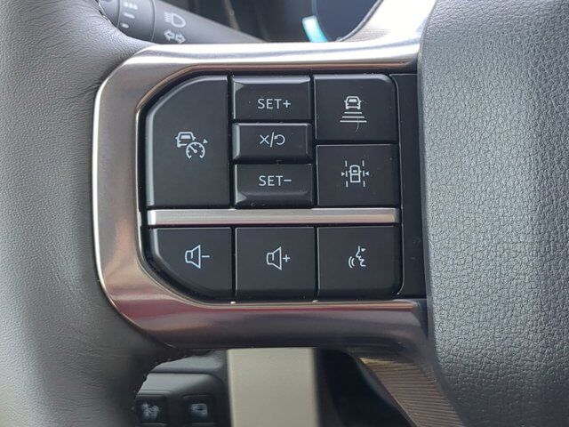 2025 Ford Super Duty F-450 DRW Platinum Plus Winder GA