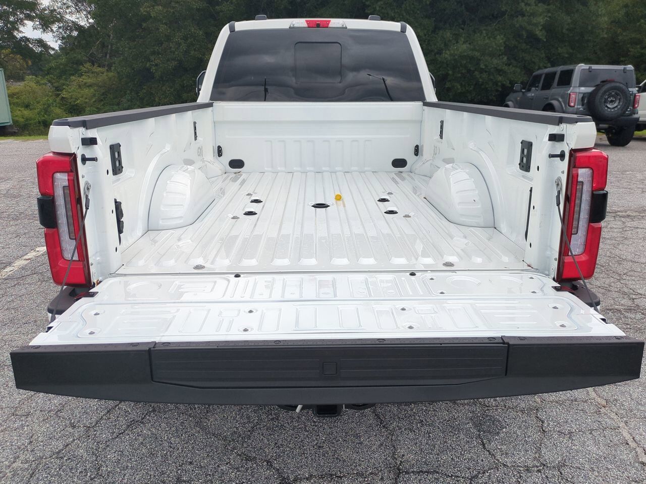 2025 Ford Super Duty F-450 DRW Platinum Plus Winder GA