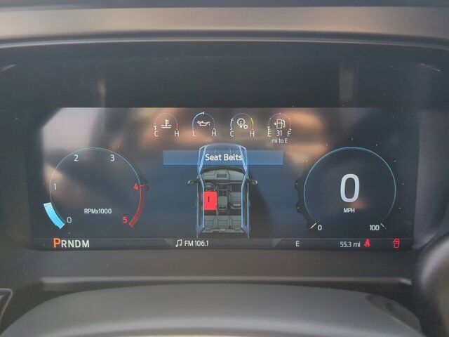 2025 Ford Super Duty F-450 DRW Platinum Plus Winder GA