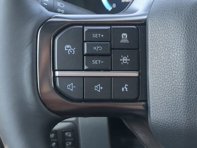 2025 Ford Super Duty F-450 DRW Platinum Winder GA