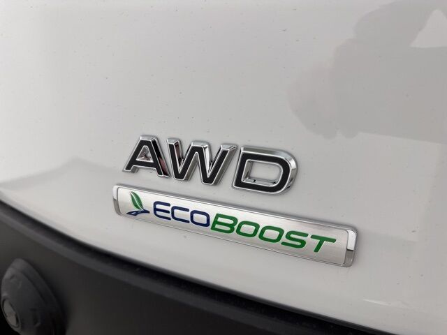 2025 Ford Transit-350 Base Pine River MN