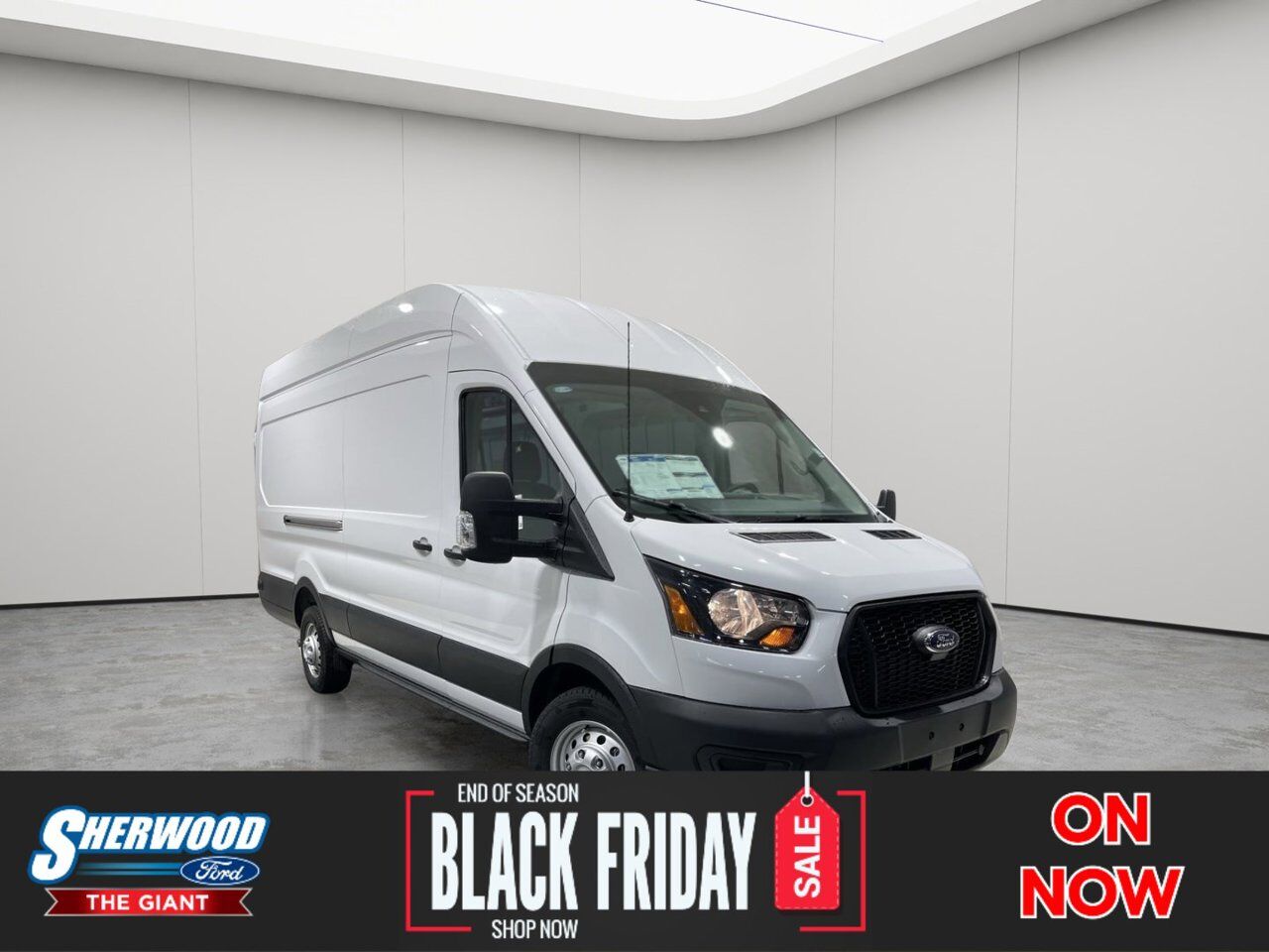 2025 Ford Transit Cargo Van