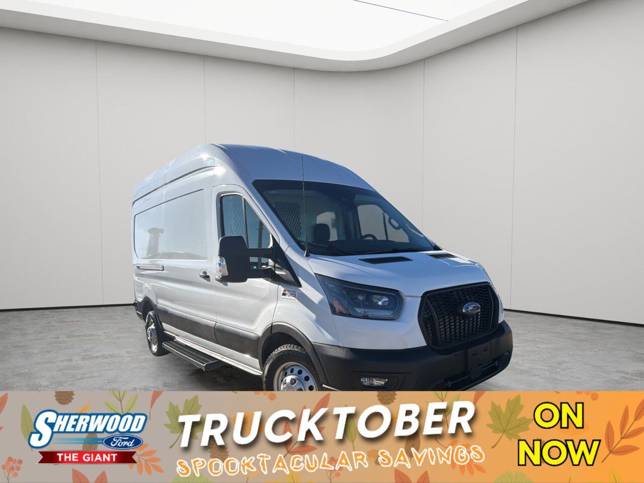 2025 Ford Transit Cargo Van