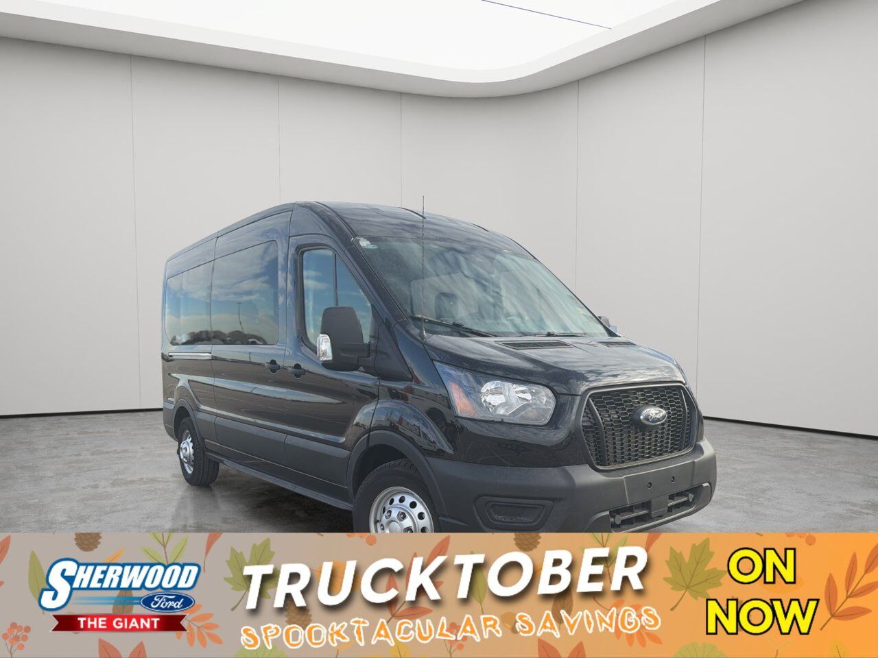 2025 Ford Transit Passenger Wagon XL