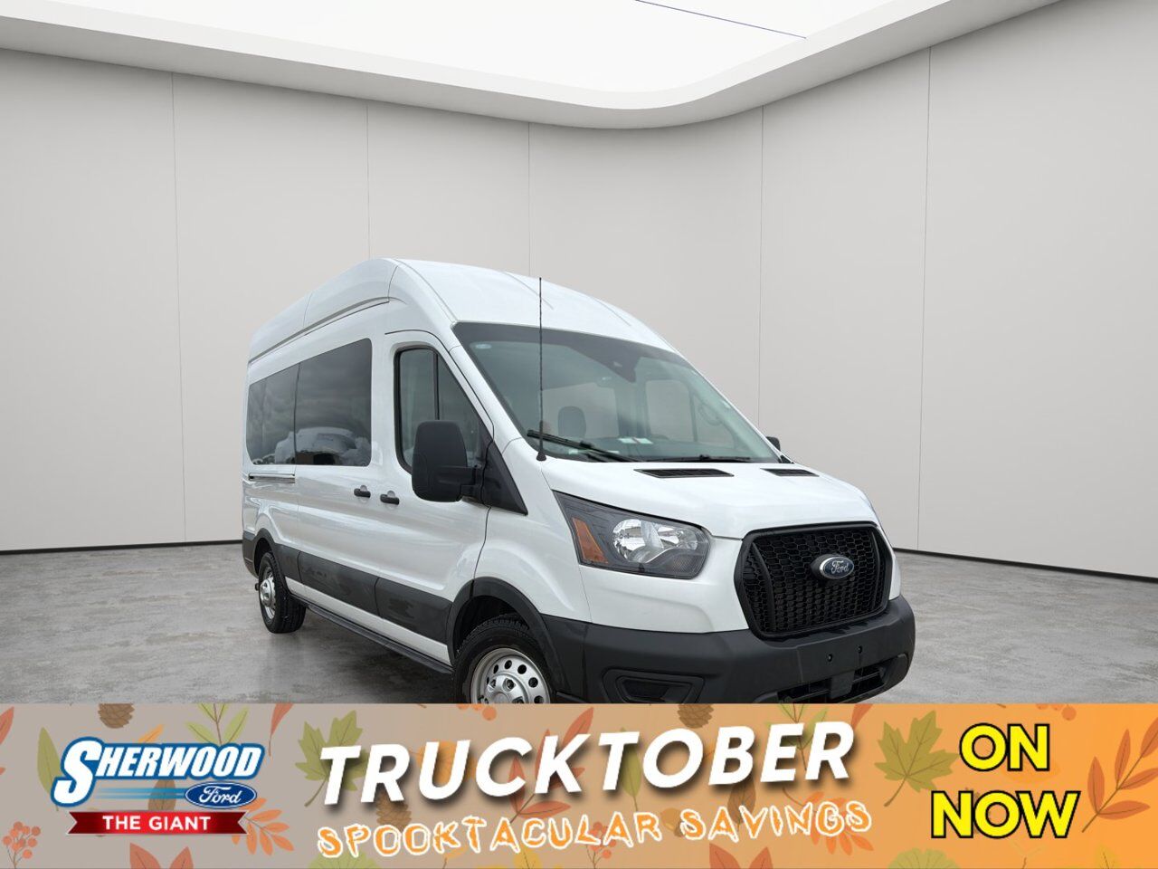 2025 Ford Transit Passenger Wagon XL