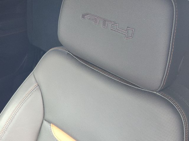 2025 GMC Sierra 1500 AT4 Grapevine TX