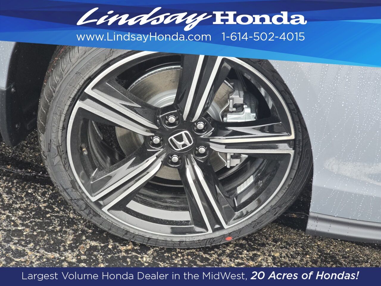 2025 Honda Accord Hybrid Sport Columbus OH