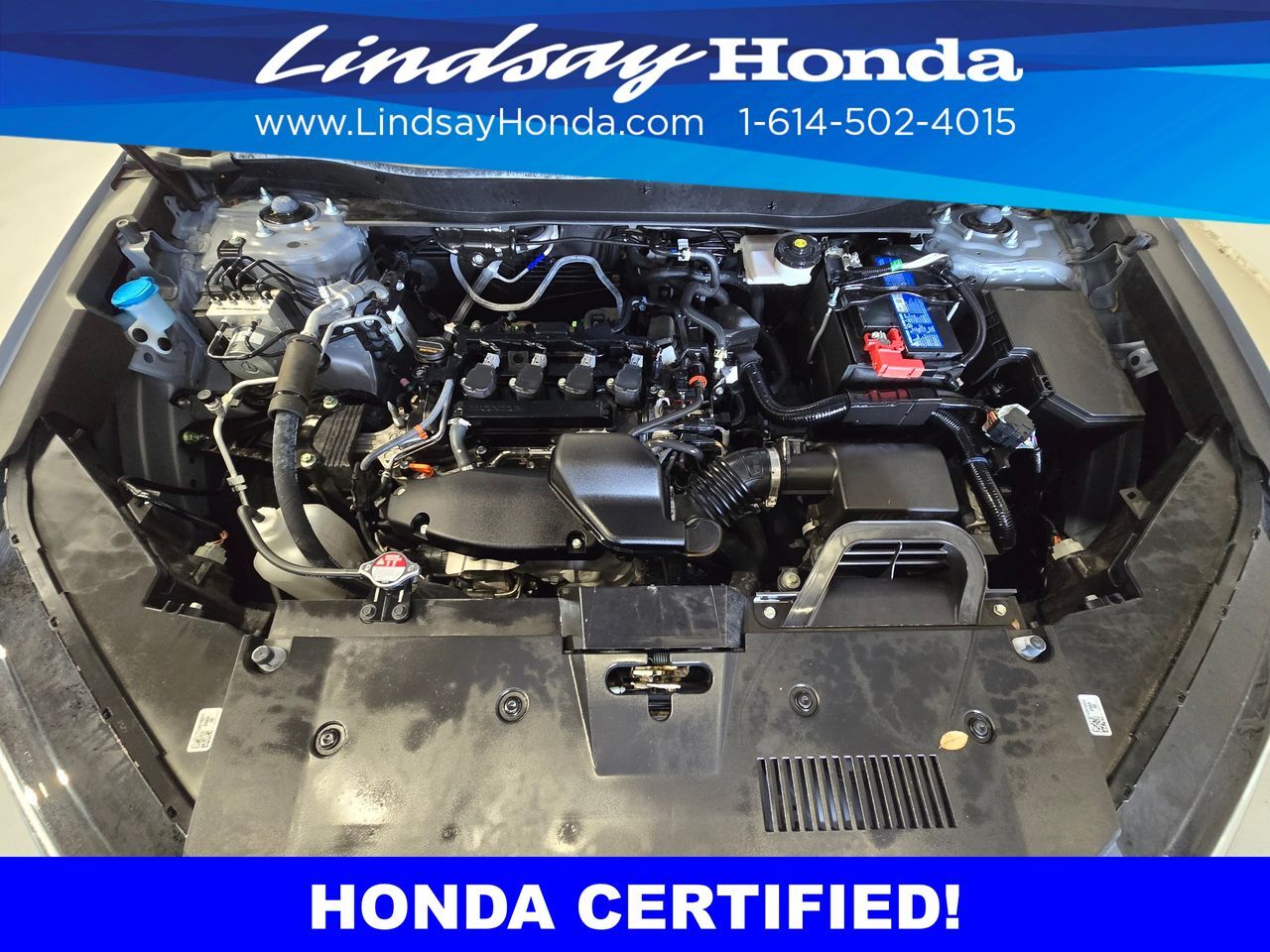 2025 Honda CR-V EX-L Columbus OH