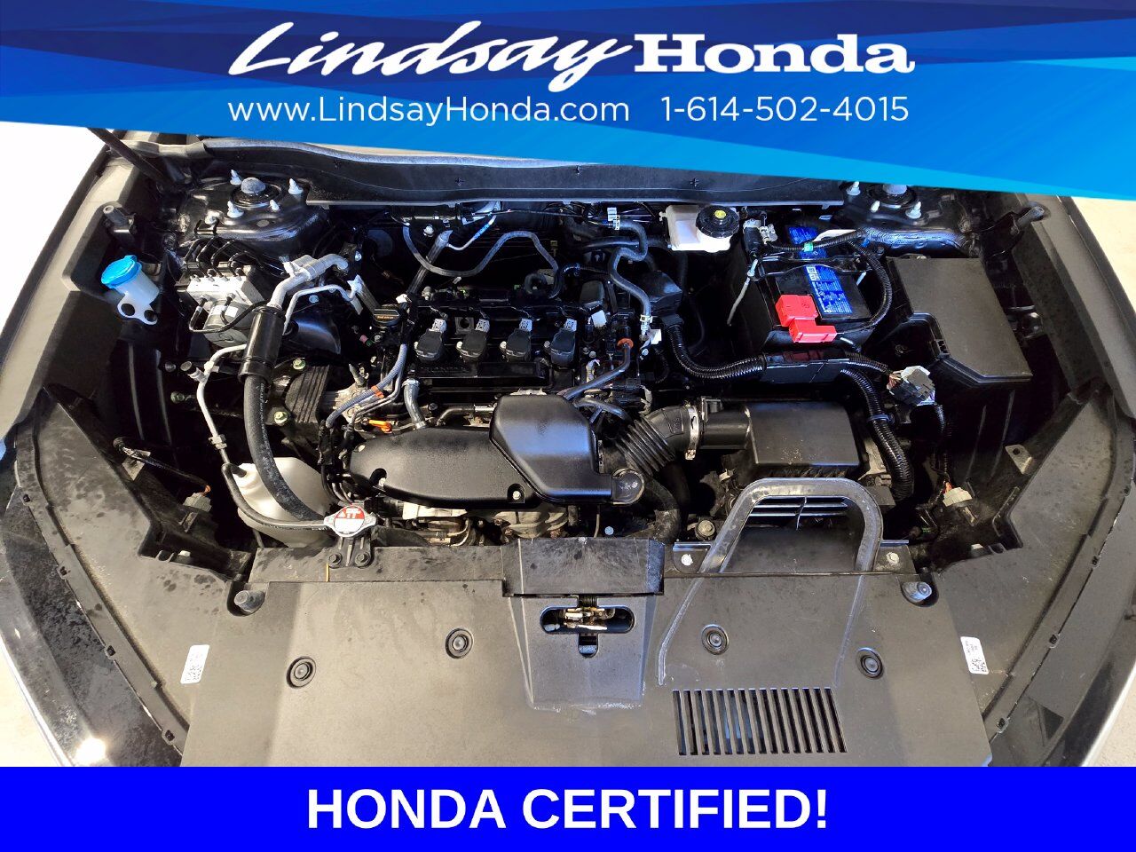2025 Honda CR-V EX-L Columbus OH
